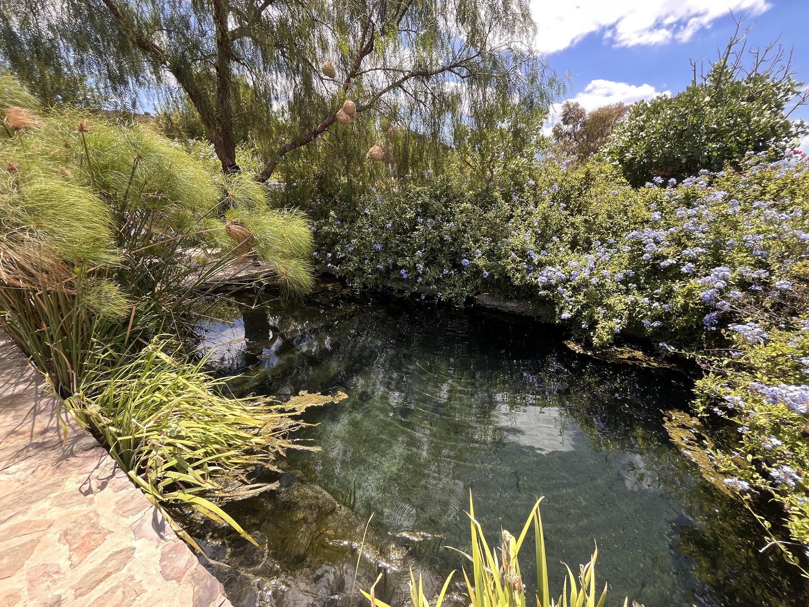 Buffelsdrift — the rock pool, first stage of the overflow